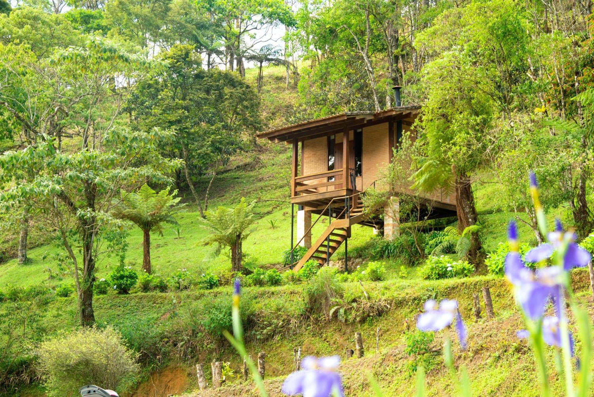 Pousada Tijupa วิสกอนจิ จิ เมาอา ภายนอก รูปภาพ